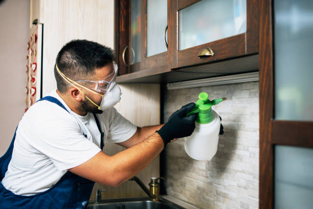 Best Pest Prevention Services  in Northern Cambria, PA