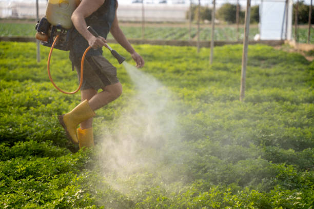 Best Wasp Removal Services  in Northern Cambria, PA